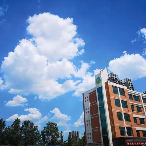 走进图形世界，携手欢乐无限——温泉路小学一年级数学实践活动