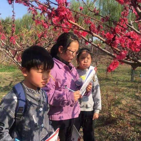 “寻找春天  感受自然”——大荔县实验小学二年级综合实践活动