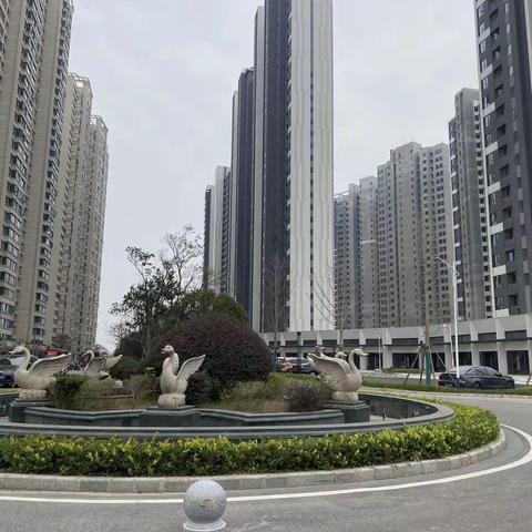 【五矿·万境水岸11.30号进度篇】