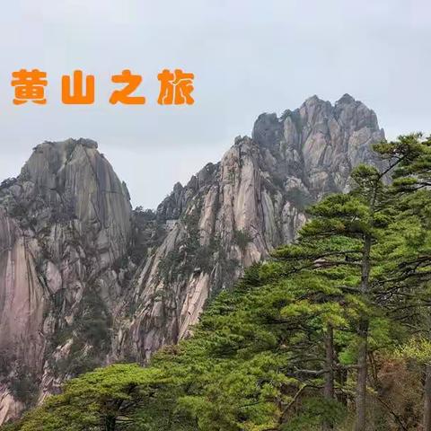 黄山之旅