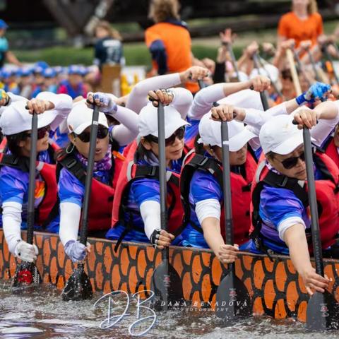 2024凤舞龙舟之Mississauga Dragon Boat Festival