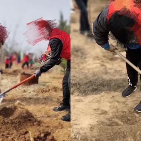 种“植”希望    重“树”新生