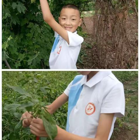 我劳动，我光荣