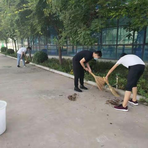 志愿活动美校园