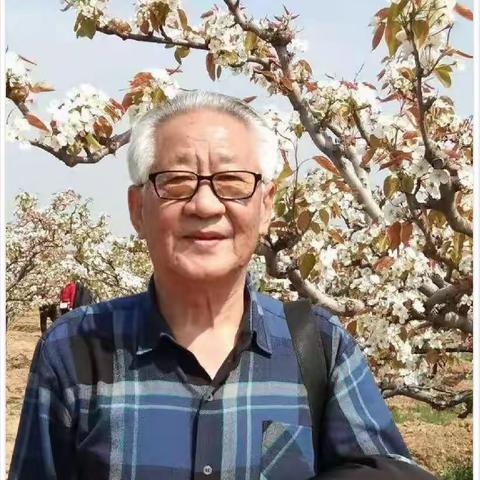 晨风李德全 （鄂）配图诗词展播（5）