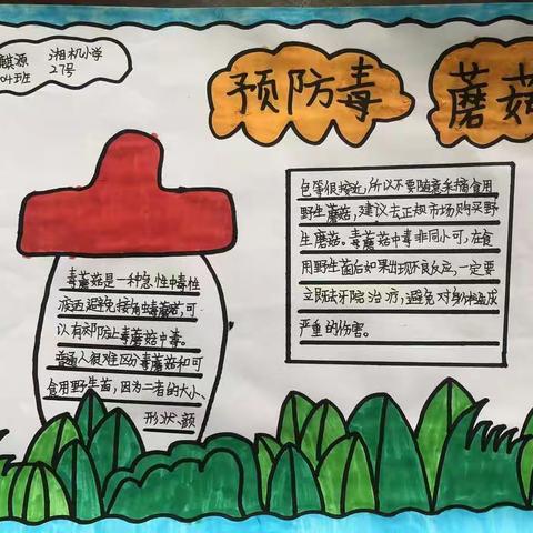 “珍爱生命 远离毒蘑菇”宣传，我们在行动 ——湘机小学教育集团四年级