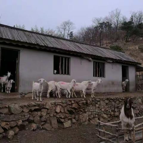 热闹与繁华，在一念之间……