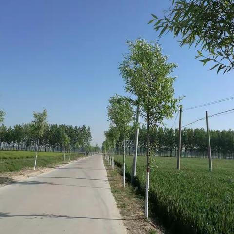 回家的路