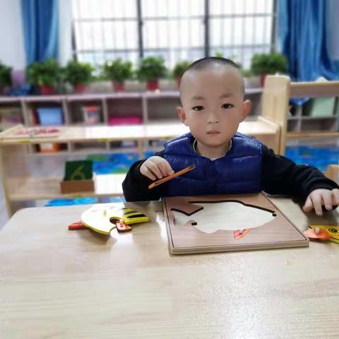 陇县品格蒙特梭利幼儿园童盟会撰写——小二班王梓熙