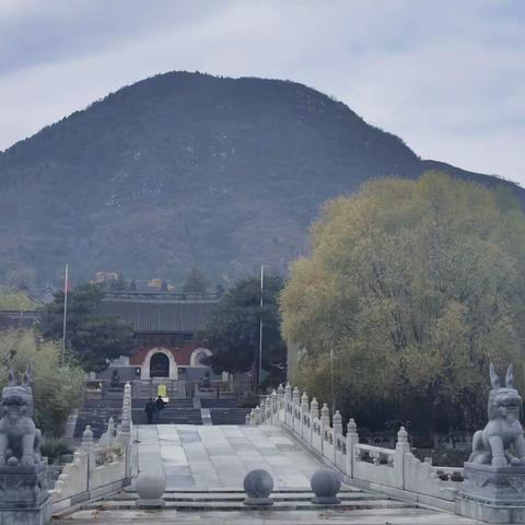 闲游云居寺