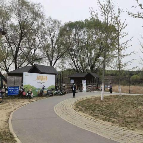 周末寻找京郊湿地公园