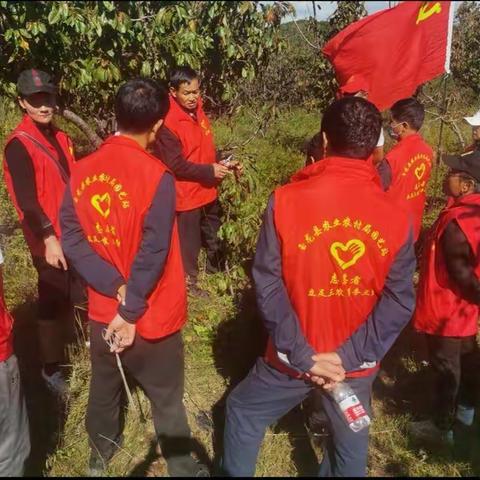 重阳节主题党日活动