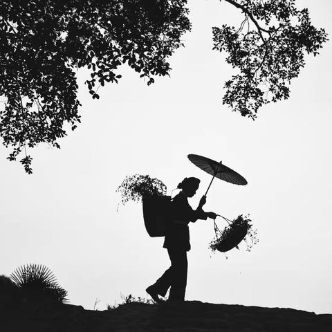 霞浦之行（二）