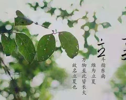 立夏至，万物生——新教育研发卓越课程洛阳启迪未来小学三年级二十四节气探索课程之“立夏”