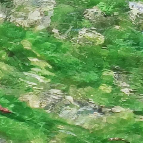 奇怪艺人的美篇