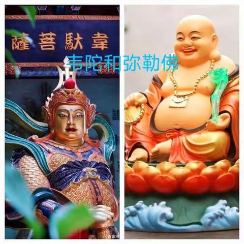 韦陀和弥勒佛