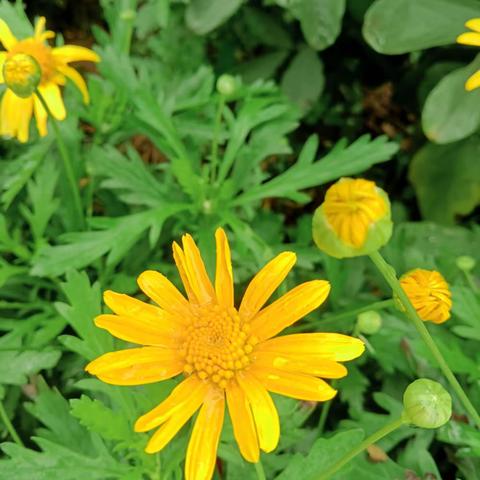 雨过天晴的校园