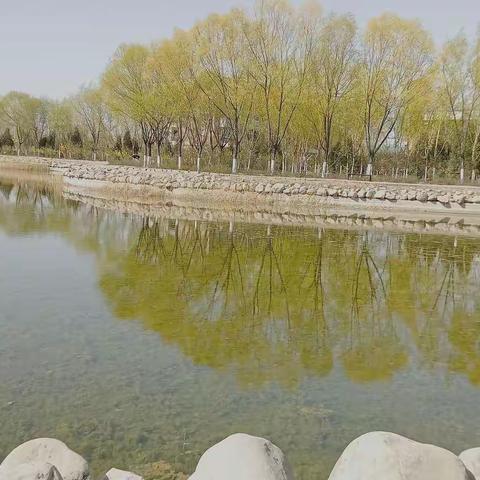 宁理的天空下