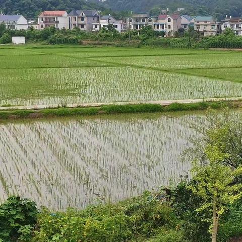 巩固脱贫成果 助推乡村振兴 —（工作手记完结篇2023年7月30日）