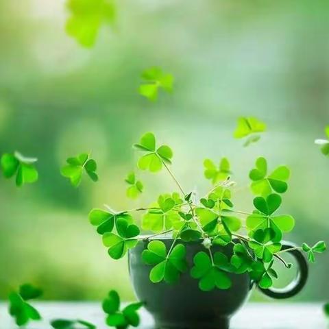 以“学”促思，以“思”研讨，共促提升――搬旧小学期中质量分析教研活动