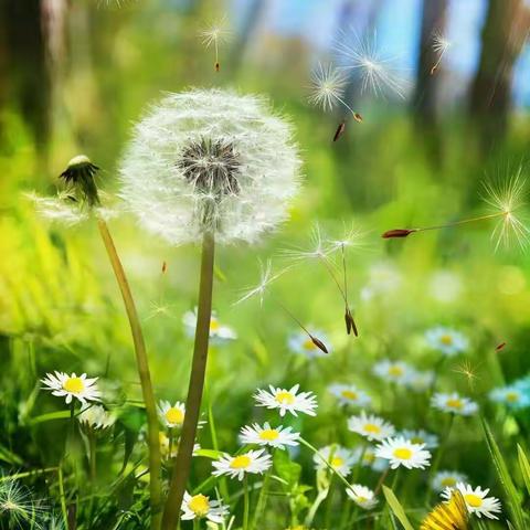 乐学善思研课堂，和谐共进齐成长――搬旧小学第二届教师课堂教学竞赛