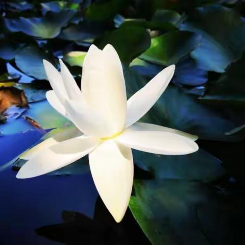 沧县职教中心摄影比赛