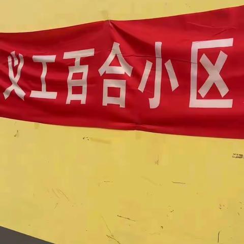 百合义工在行动