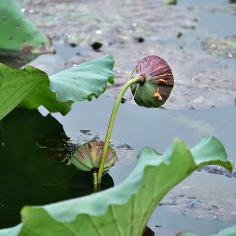 ＂小众“景色，拍出来也有特色