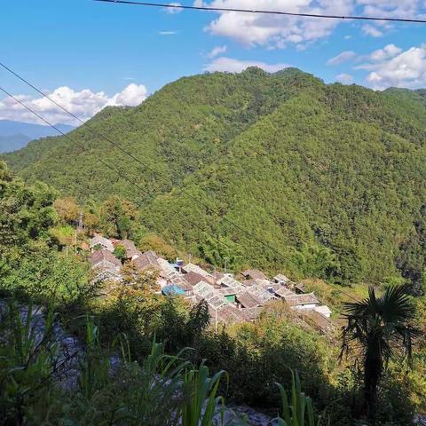 “小手拉大手”着力提升人居环境