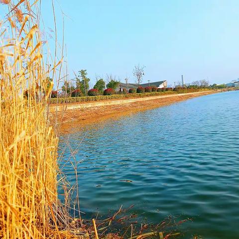 感受大自然的气息和美景