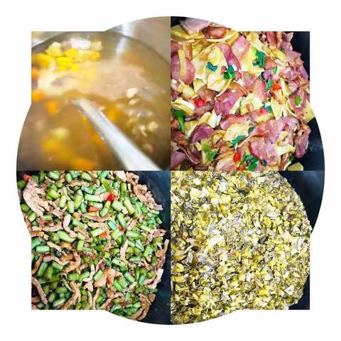 四年级第六周总结