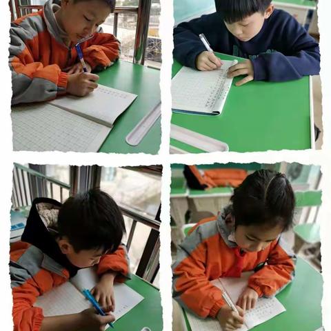 四年级第三周总结