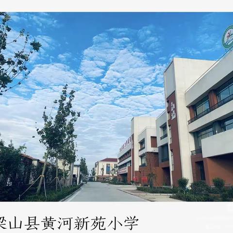 【强镇筑基】坚守平凡的岗位，书写最美的篇章---梁山县黄河新苑小学工作纪实