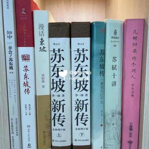 东坡文化_黄州及书画形象