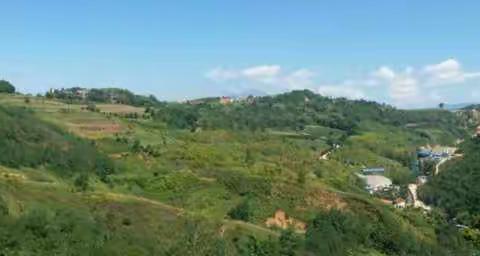 诗书画影白鹿原