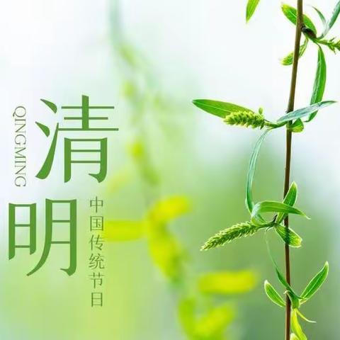 缅怀革命先烈 传承红色精神——卫光学校清明节教育主题活动