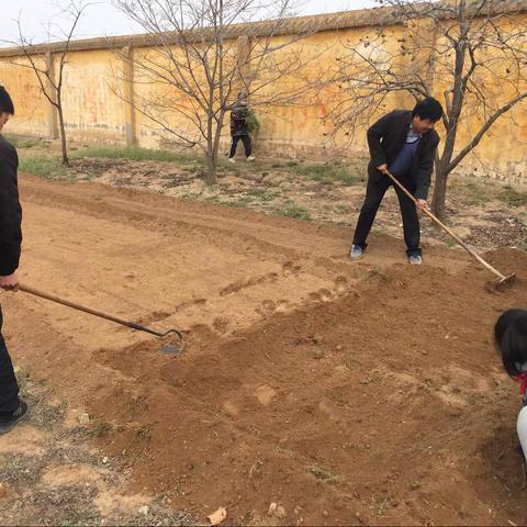 “师生齐动手，共掘小菜园”———夏梁小学校内劳动基地开荒播种拉开序幕喽…