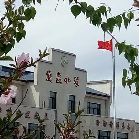 茂盛小学“父亲节”感恩教育系列活动剪辑