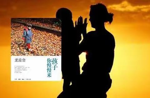《孩子你慢慢来》读书分享