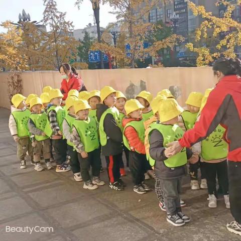 青苗幼儿园中（一）班户外活动绘画《银杏树叶》