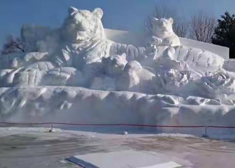 23日迎冬奥越野滑雪活动集锦