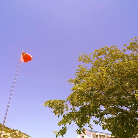 采撷一本书香 吟诵百味人生——费县大田庄乡中心小学语文整本书阅读课堂教学推进活动