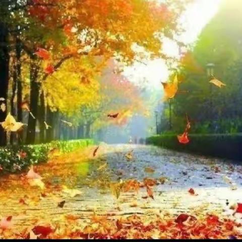 教研花正开 云端享硕果——大田庄乡中心小学语文教研