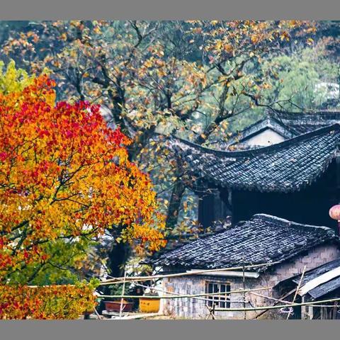 费县小学英语骨干教师培养项目--现场调研活动体会                           大田庄---王孝娜