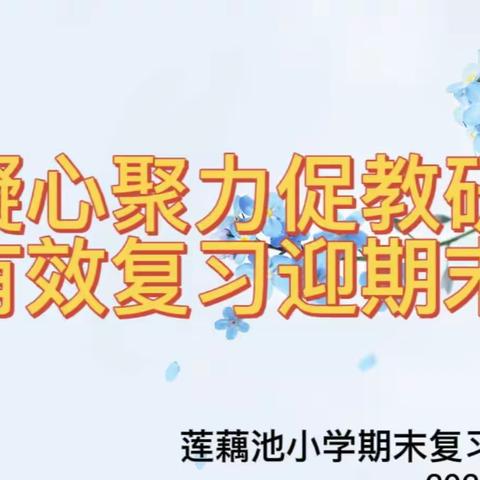 凝心聚力促教研，有效复习迎期末——平安城镇莲藕池小学期末复习研讨