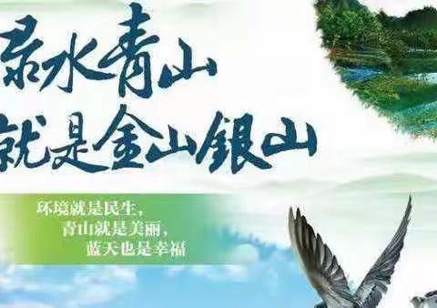 临夏州育苗产业展播(二)永靖篇