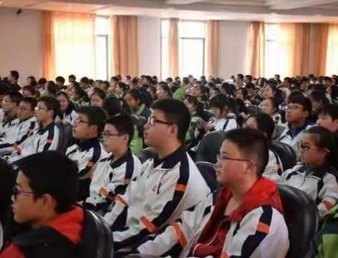 好瞳伴视力宝项目介绍