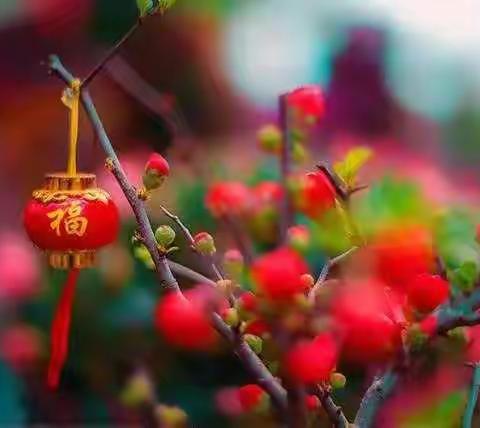 劳动最骄傲  运动最快乐——东塔学校六（2）班实践活动