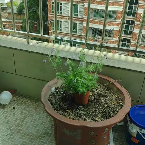 锦的美篇
