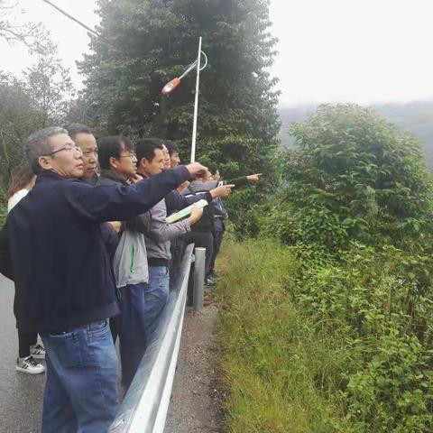 州交通运输局率队到大漾云兰漾濞段实地踏勘线路设计优化